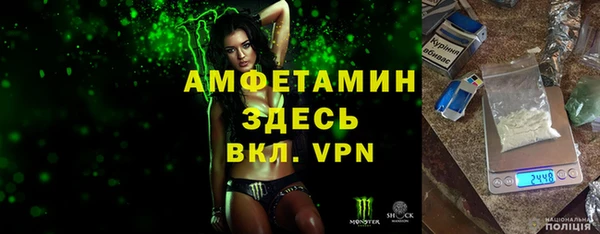 дурь Бородино