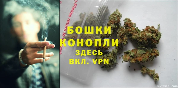 стаф Бронницы