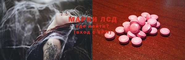 прущие грибы Бугульма