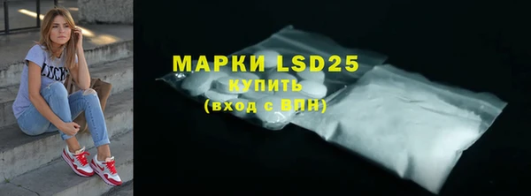 дурь Бородино