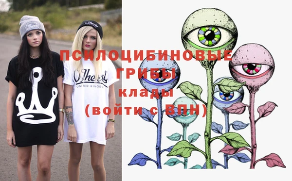 mdpv Верея